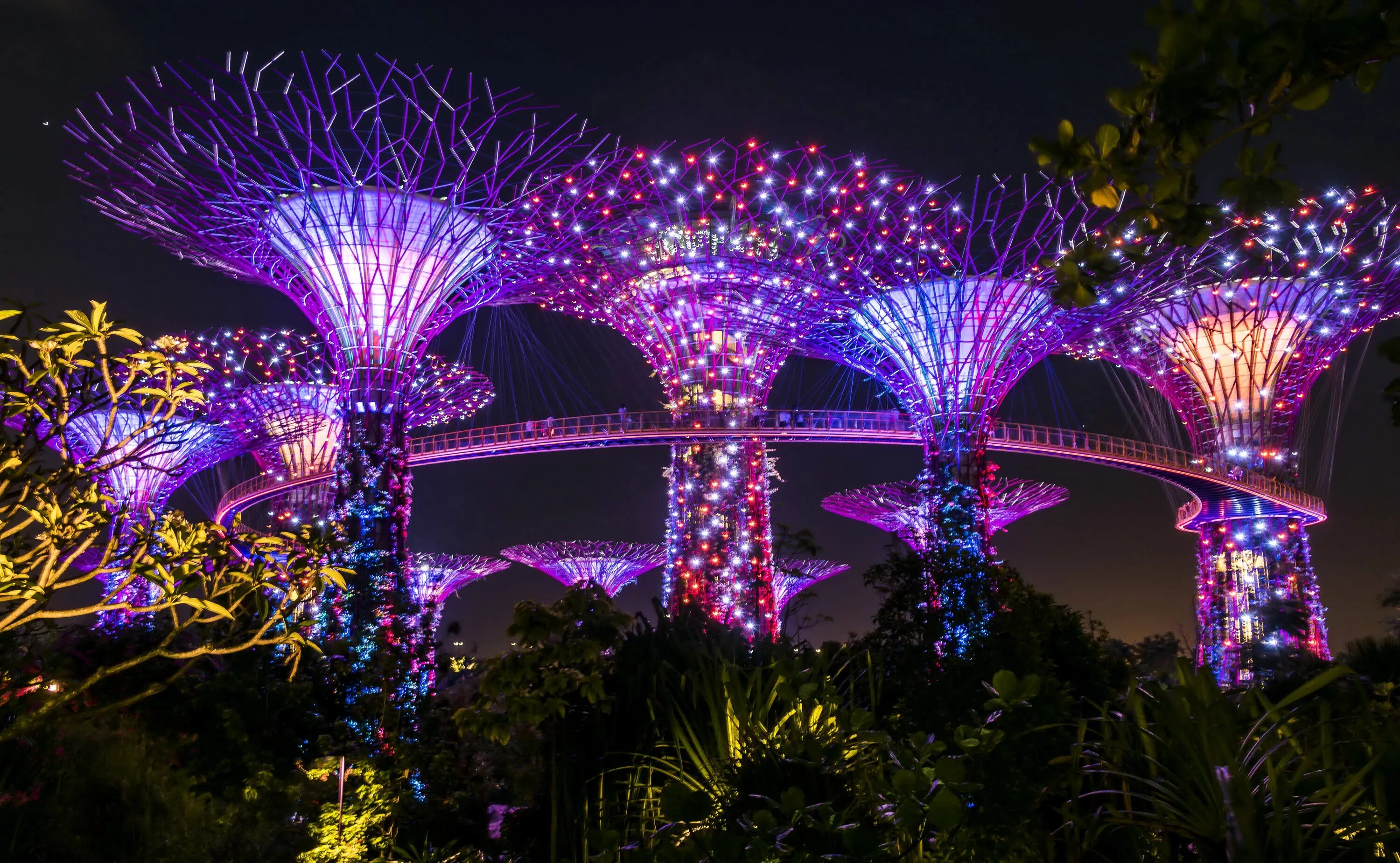 Парк деревьев в сингапуре. Сады у залива (gardens by the bay). сингапурский парк gardens by the bay. цветочный сад в сингапуре. сады у залива сингапур сверхдеревья.