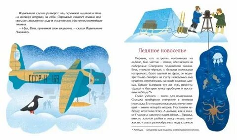 Рассказ северный полюс