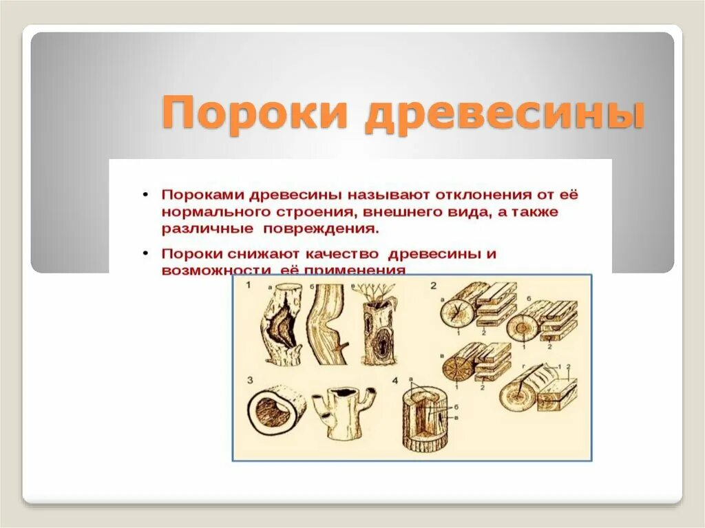Пороки древесины снижающие ее качество. Пороки древесины снижающие ее качество. Пороки древесины 6 класс технология. Пороки строения древесины глазки. Пороки древесины свилеватость.