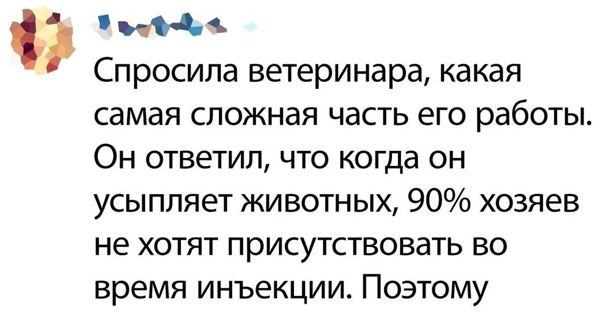 Спросила у ветеринара/ что самое сложное в его работе. Спросить ветеринара. Цитаты про ветеринаров. Спроси ветеринара