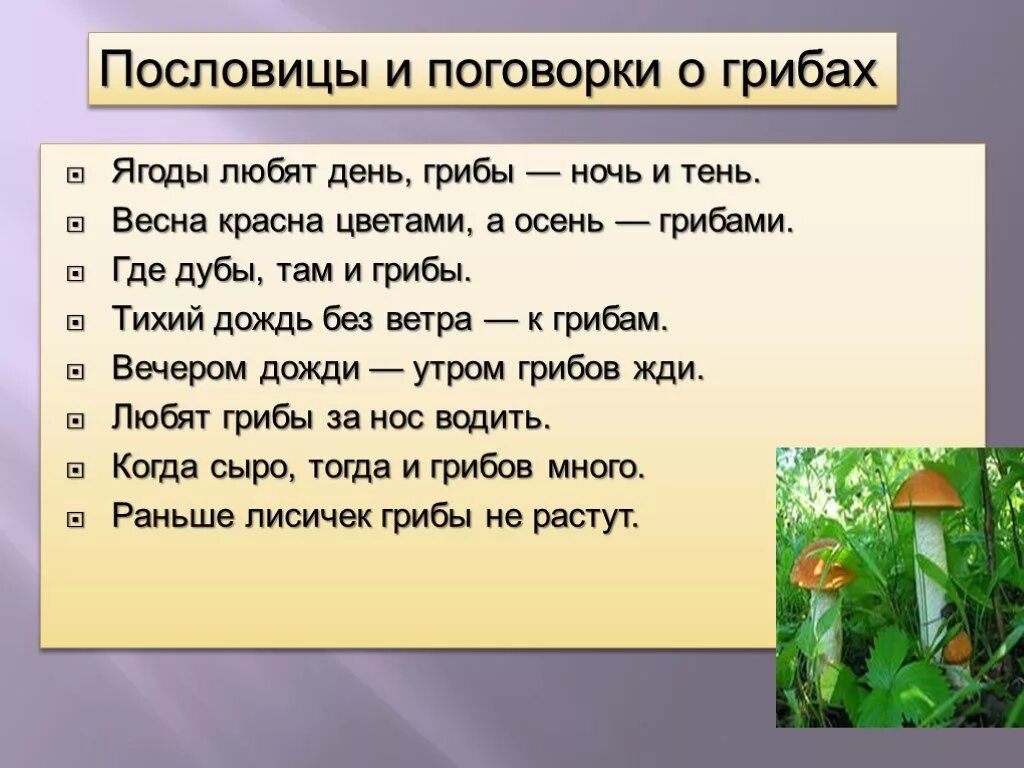 Собери слова грибы. Пословицы и поговорки о грибах. Поговорки про грибы. Пословицы про грибы. Пословицы и поговорки о грибах для детей.