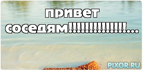 Доброго дня соседка