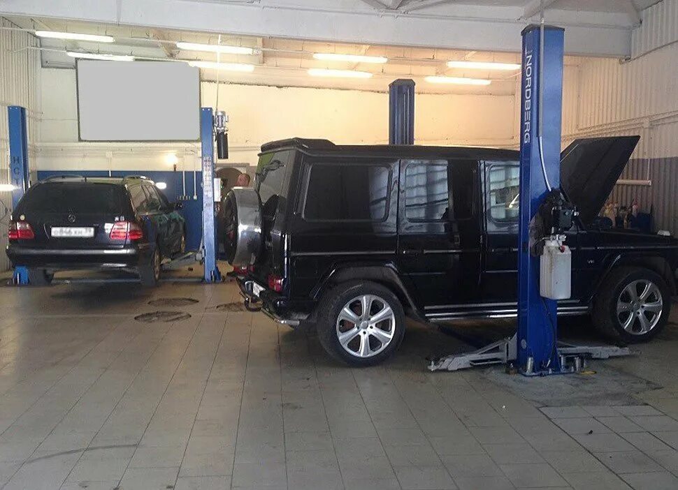 Автосервис алтуфьево. Урень мустанг автосервис. Автосервис мустанг калининград. Мустанг автосервис. Дизель сервис рыбинск.