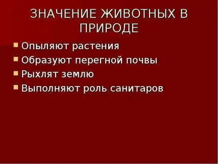 Сообщение о человеке природа краткое