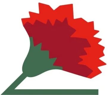 Красная гвоздика гомель сайт