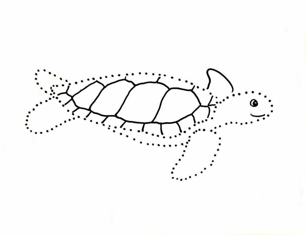 Точка обитатель. Рисование по точкам морские обитатели. Морские обитатели обвести по точкам. Обведи по точкам морские обитатели. Рисование по точкам рыбка.