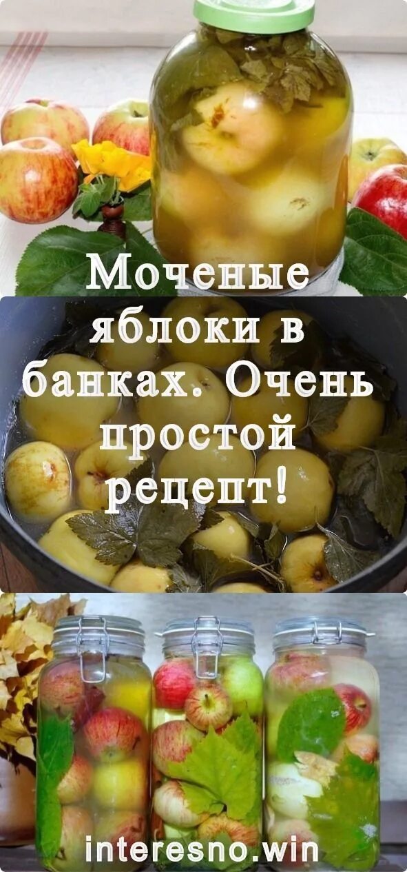 Рецепт моченых яблок в банки. Моченые яблоки. Мочение яблок в банках на зиму. Яблоки мочёные в банках. Мочёные яблоки рецепт в домашних.