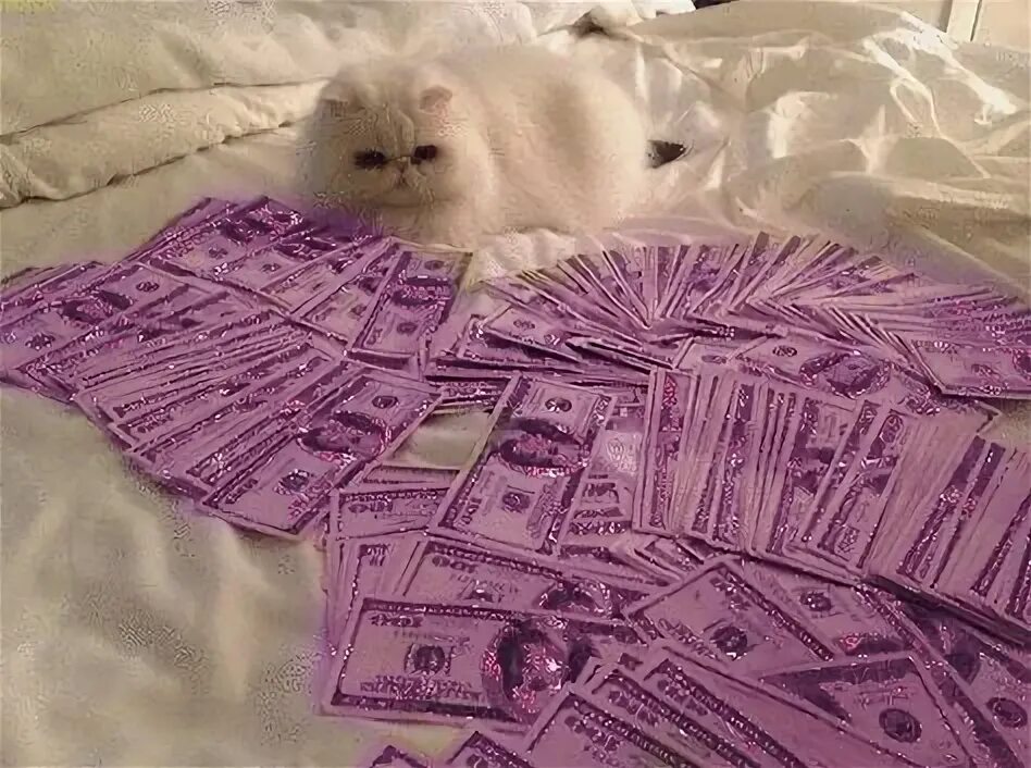 2020 Vision in 2020 Money goals, Money stacks, How to get money