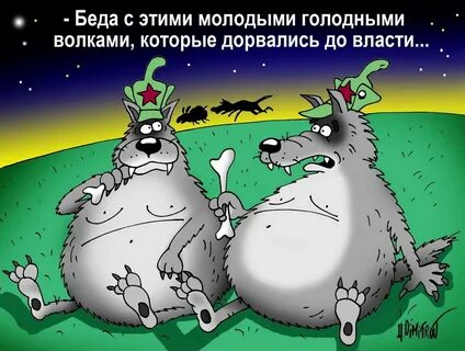 Анекдоты волки