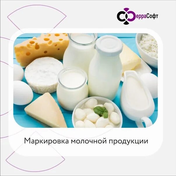 Изменение маркировки молочной продукции. Изменение маркировки молочной продукции