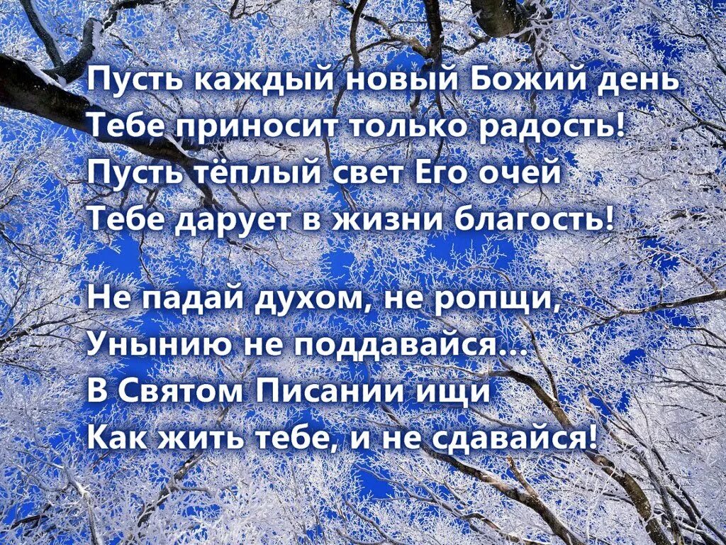 С добрым зимним утром картинки христианские пожелания. Божьего благословения на день грядущий. Благословенного дня зимой. Доброе зимнее утро с благословением. Божьего благословения на день грядущий и доброго утра.