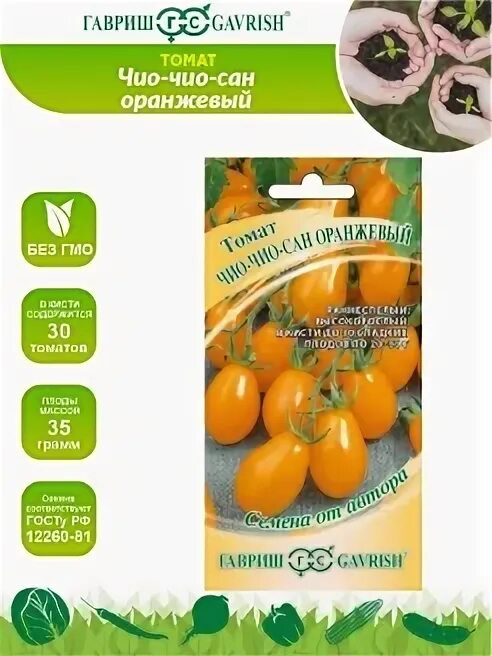 Чио чио сан оранжевый. Томат чио-чио-сан. Чио-чио-сан томат описание. Помидоры чио чио сан описание. Помидоры чио чио сан описание.