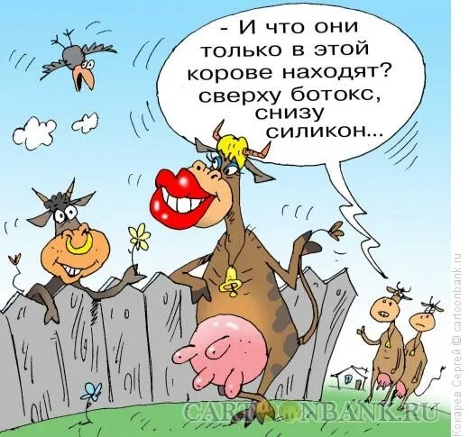 Анекдот про два быка. Корова карикатура. шутки про коров. смешные шутки про быка. karikatury pro korovu.