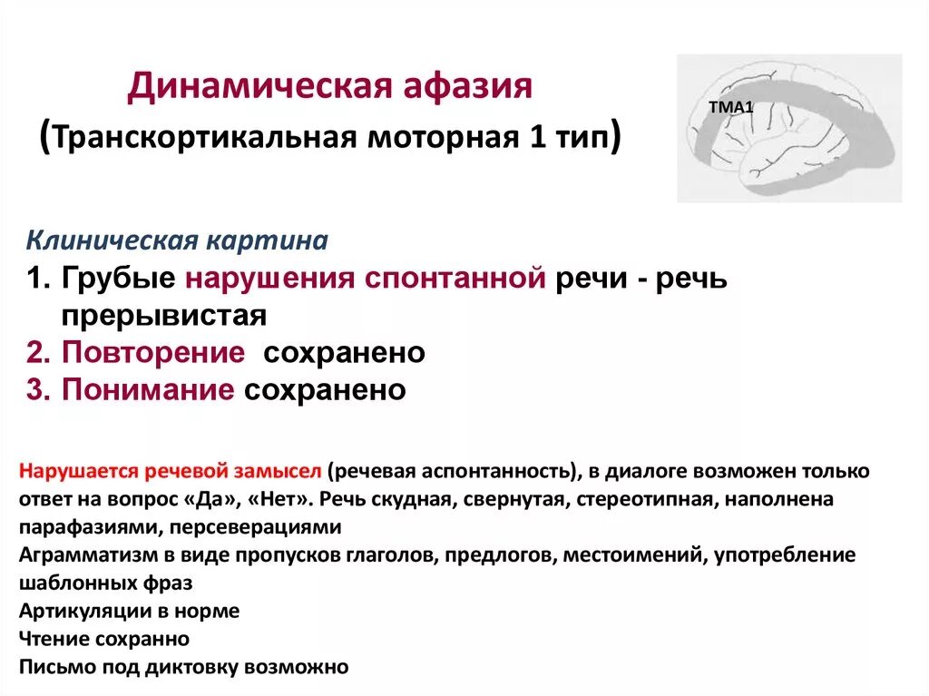 Потеря речи при инсульте. Динамическая афазия симптомы. Динамическая афазия речевые симптомы. Динамическая моторная афазия симптомы. Моторная динамическая афазия характеризуется.