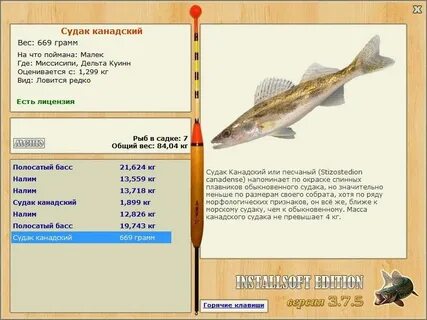 Вес судака