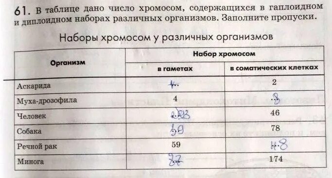 Количество хромосом речного рака. Наборы хромосом у различных организмов таблица. Наборы хромосом у различных организмов. Количество хромосом у разных организмов таблица. Наборы хромосом у различных организмов диплоидные и гаплоидные.