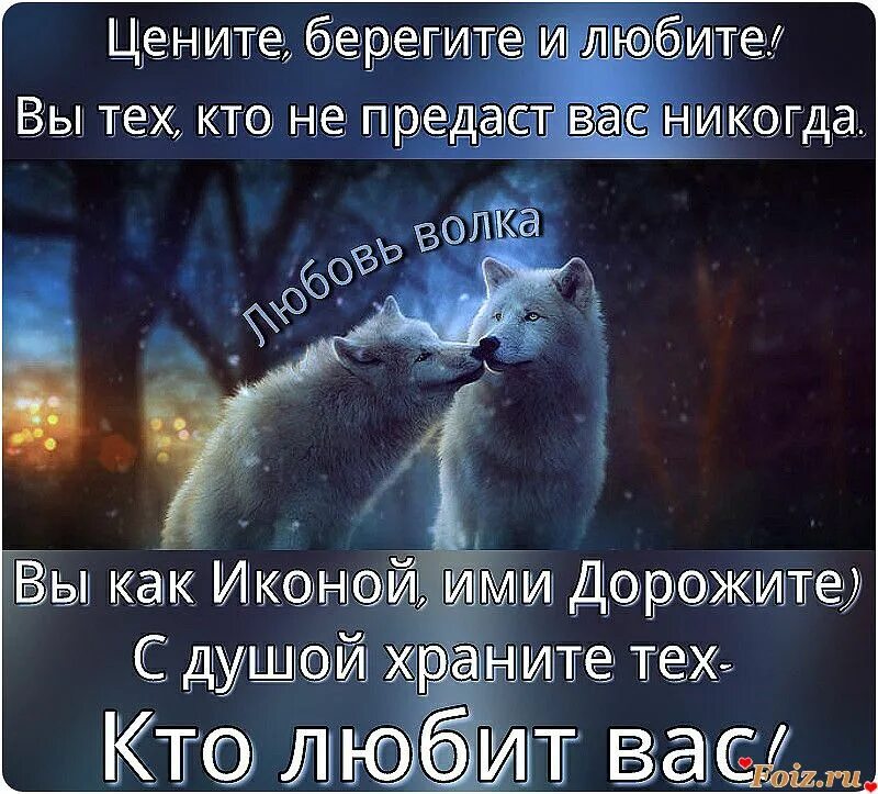 Цитаты про людей рядом. Берегите друг друга стихи. Дорожите любовью люди. Песня берегите любите цените. Цените тех кто вами дорожит и любит.