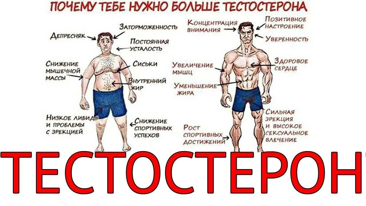 Низкие гормоны у мужчин. Тестостерон. Показатели высокого тестостерона. Снижение уровня тестостерона. Dkbztn KB ntcnjcnthjy YF hjcn&.