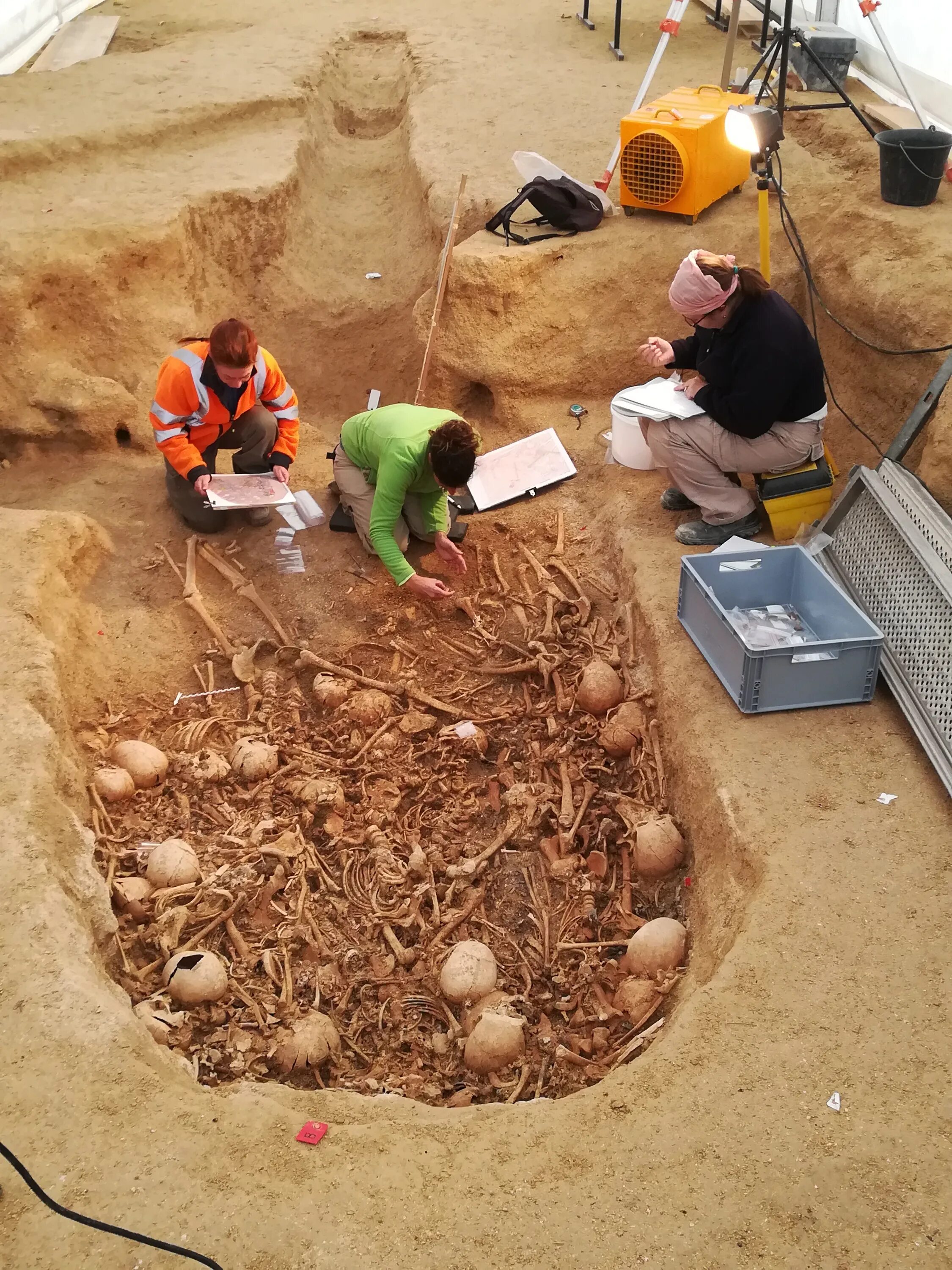 археологический туризм. палеонтология раскопки. археологическая раскопка. раскопки и археологические исследования. трогонтериевый слон пермь раскопки.