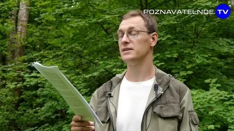 Войтенков мысли