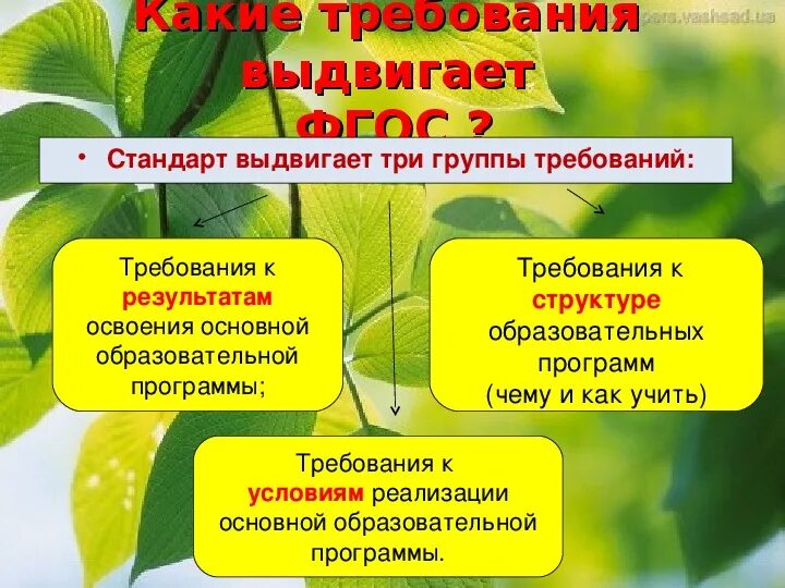 Сообщество фгос. ФГОС выдвигает три группы требований. Группы требований ФГОС. Три группы требований ФГОС. Основные группы требований ФГОС перечислите.