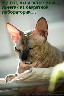 Не злопамятная но память у меня хорошая