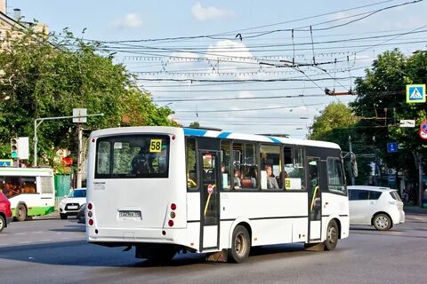 Автобусы воронеж петербург