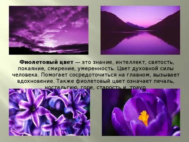Воздействие фиолетового цвета на человека. Что значит фиолетово черный. Фиолетовый цвет в психологии. Фиолетовый цвет в психологии. Что значит фиолетово черный.