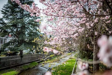 Ялта весной