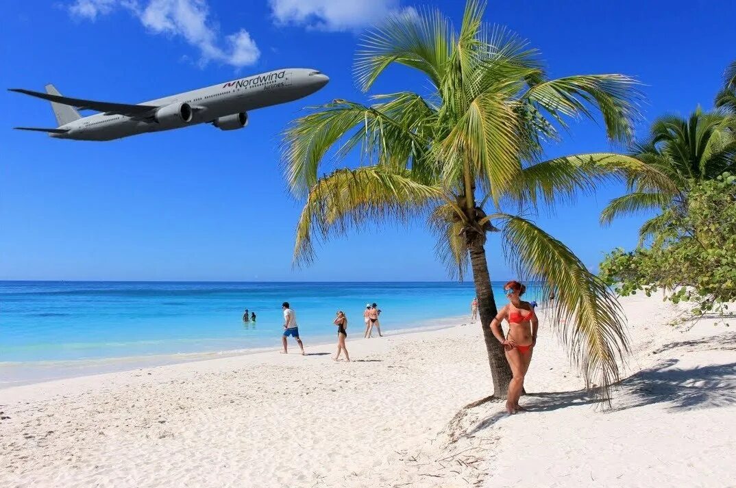 туры доминикана из москвы с авиаперелетом 2023. доминикана тур 2022. доминикана отель live collection canoa. ла романа пунта кана. туры доминикана из москвы с авиаперелетом 2023.
