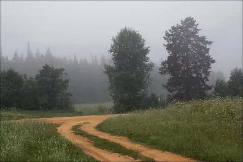 Жуковский зелень нивы
