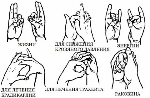 Последовательность мудр