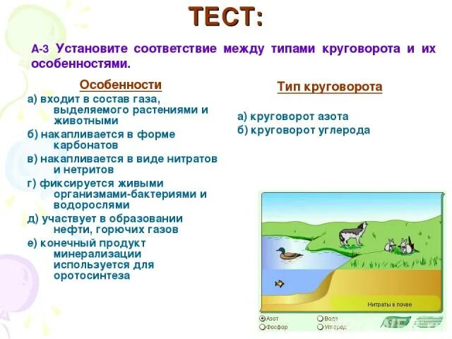 Биосфера тест. Особенности тестов. Оротосинтеза. Виды вещества биосферы тест на соответствие. Тест вещества биосферы