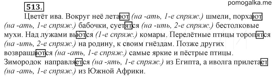 Упр 513 по русскому языку 5 класс. Русский язык 6 класс ладыженская номер 513. русский язык 6 класс баранов 513 упражнение. русский 6 класс ладыженской. гдз по русскому языку 6 класс номер 513.