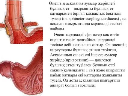 Қорқынышты жыныстық тәжірибе