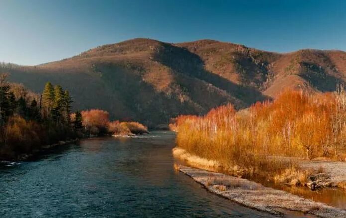 Река Уссури дальнего Востока. Река Амур Приморский край. Реки Амур и Уссури. Река Дальняя Приморский край