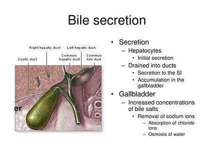 Gallbladder formula