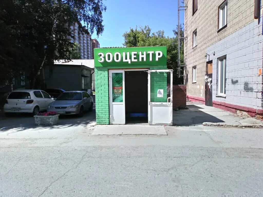 зоомаркет зебра красноярск. зоомагазин зебра канск. магазин зебра красноярск. зоомагазин зебра канск. зоомаркет зебра красноярск.