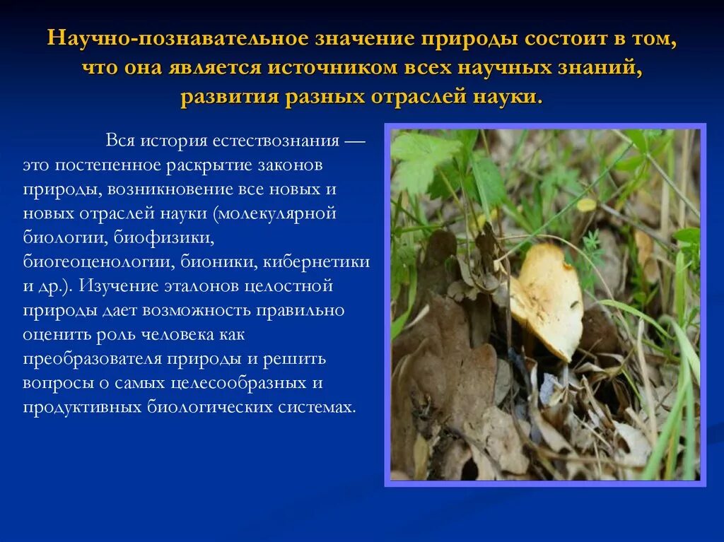 Из чего состоит природа