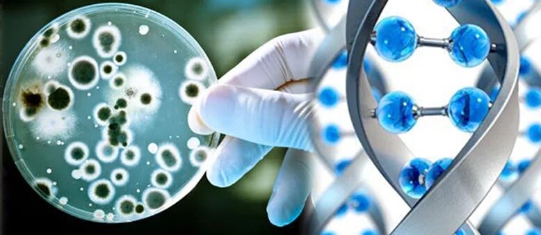 Современные достижения биотехнологии. Биотехнологии. Экологическая биотехнология. Молекулярная биотехнология. Современные биотехнологии.
