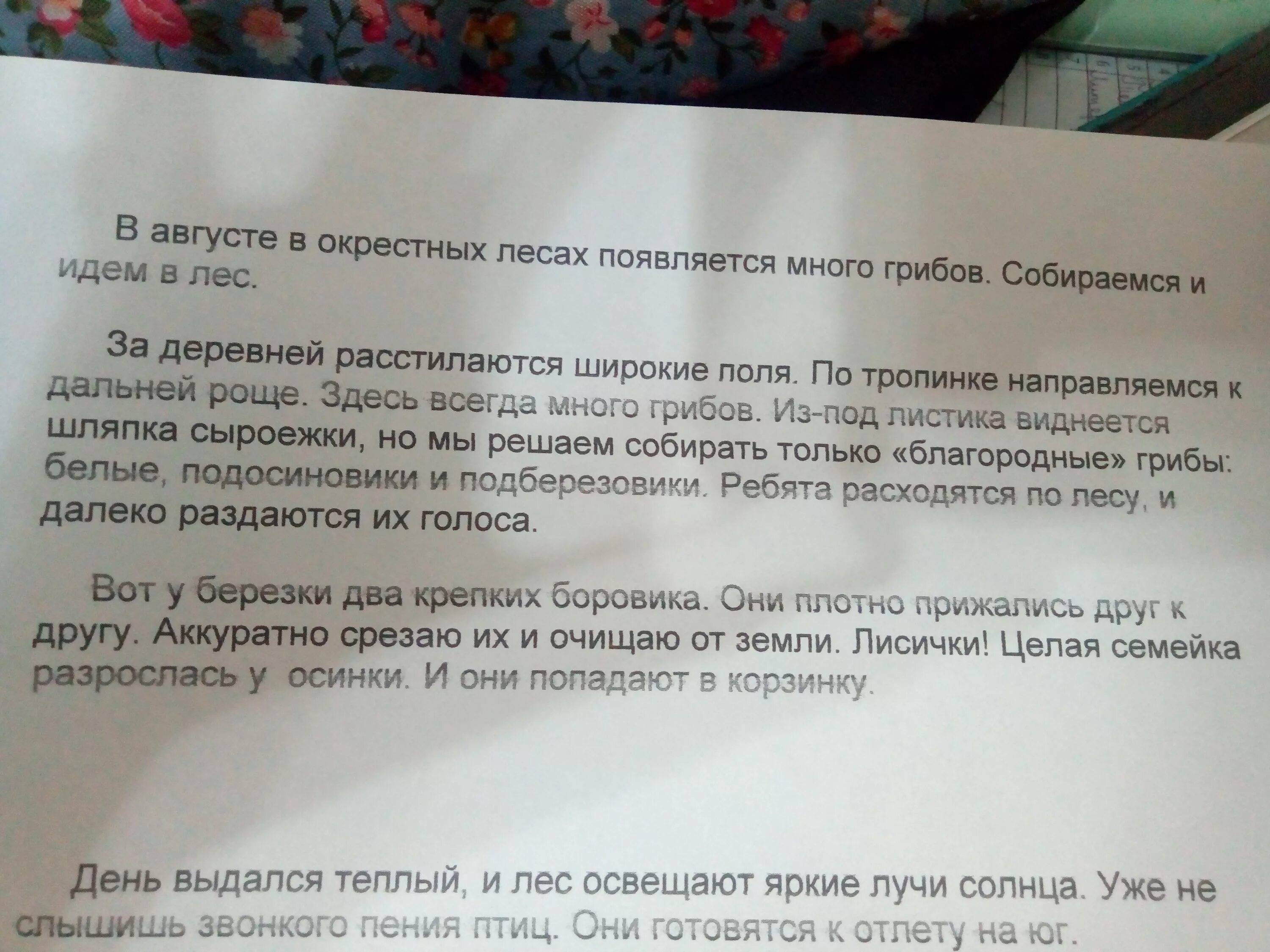 Грибная пора диктант. Диктант в августе в окрестных лесах. В августе в окрестных лесах. В августе в окрестных лесах появляется много грибов. Диктант в августе в окрестных лесах 6 класс.