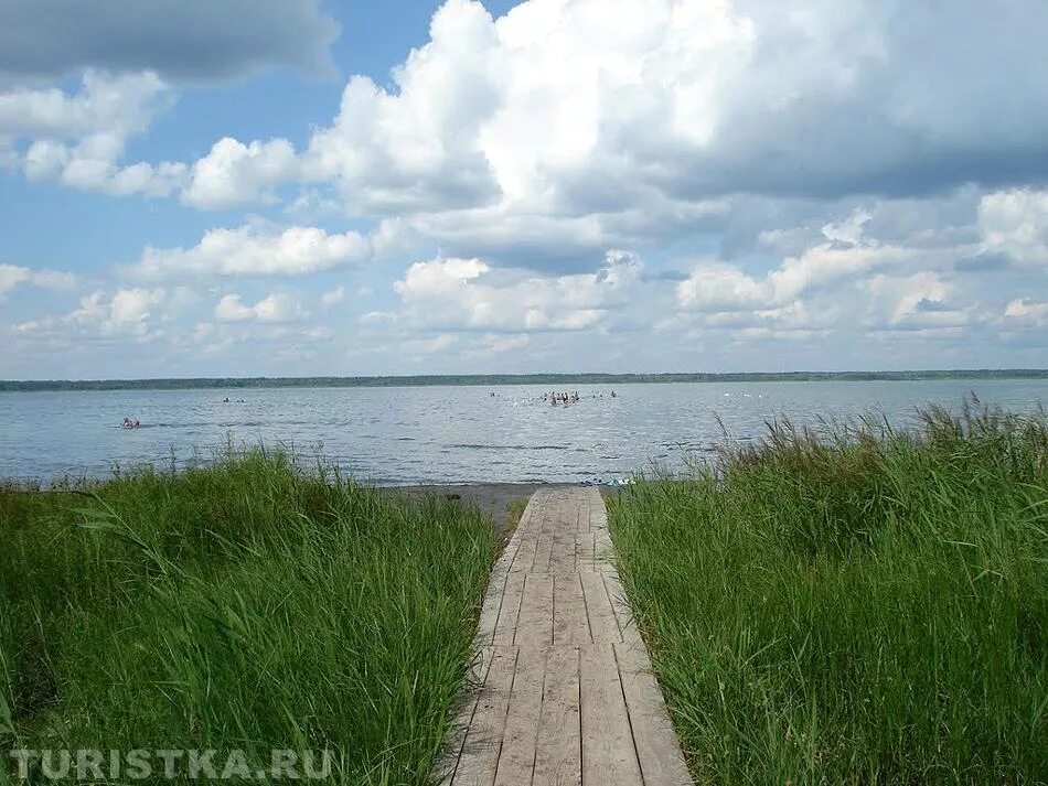 Озеро горькое Перешеечное Егорьевский район. Озеро горькое Алтайский край Новичихинский район. Горько Перешеечное озеро Алтайский край. Озеро горькое Алтайский край Егорьевский район.