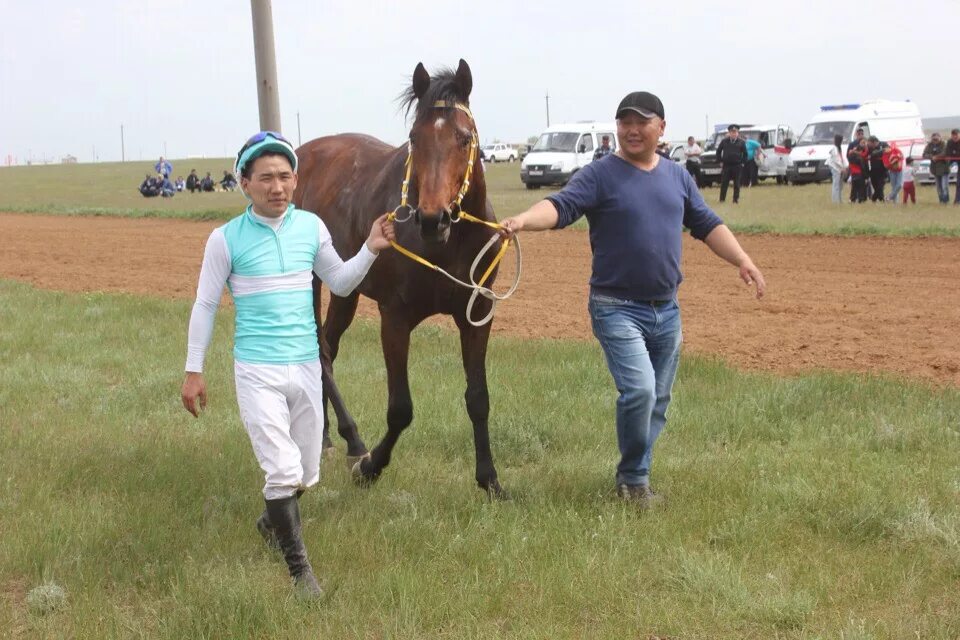 кетченеры калмыкия. прогноз погоды в кетченерах на 2 недели. прогноз погоды в кетченерах на 2 недели. сарпинский район калмыкия. поселок кетченеры, республика калмыкия.