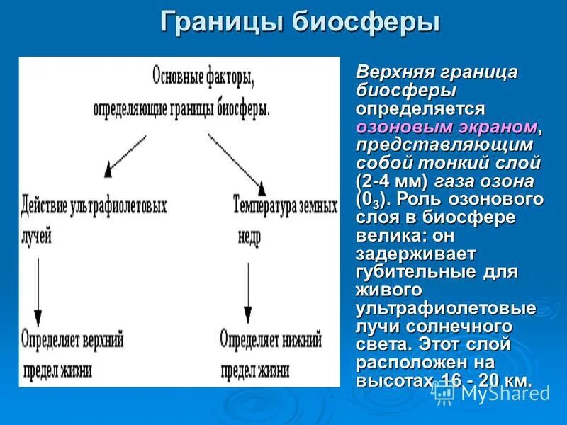 Какие факторы определяют границы биосферы