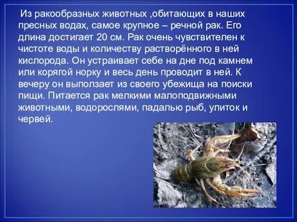 Ракообразные пресных вод