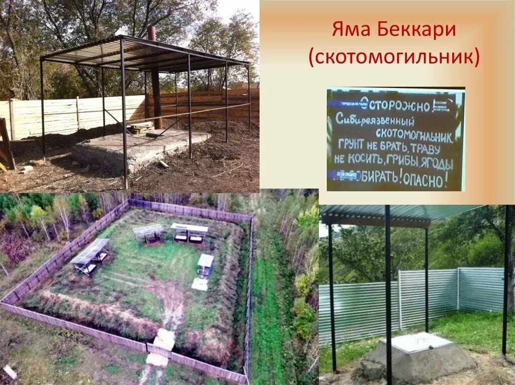 Яма беккаря. Биотермическая яма беккари. скотомогильник биотермическая яма. биотермическая яма беккари строение. скотомогильник (биотермическую яму) 2025.
