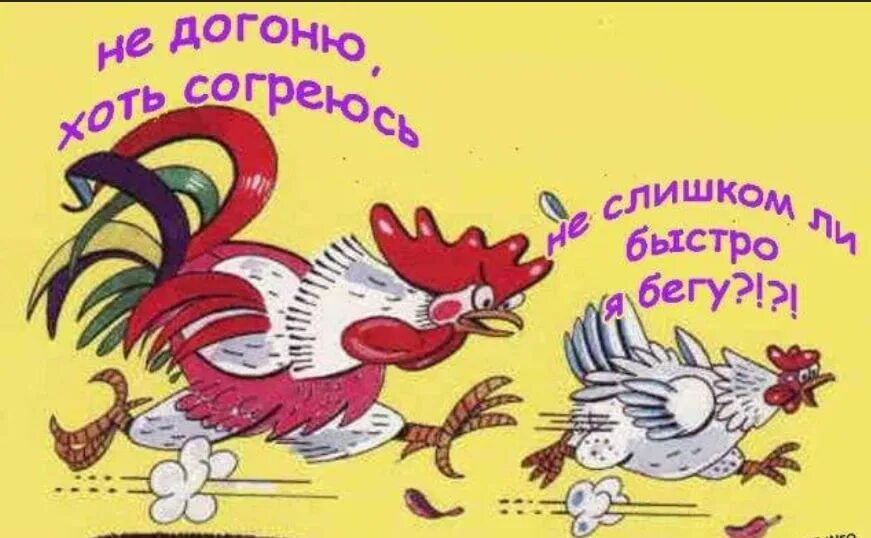 От любви не убежать