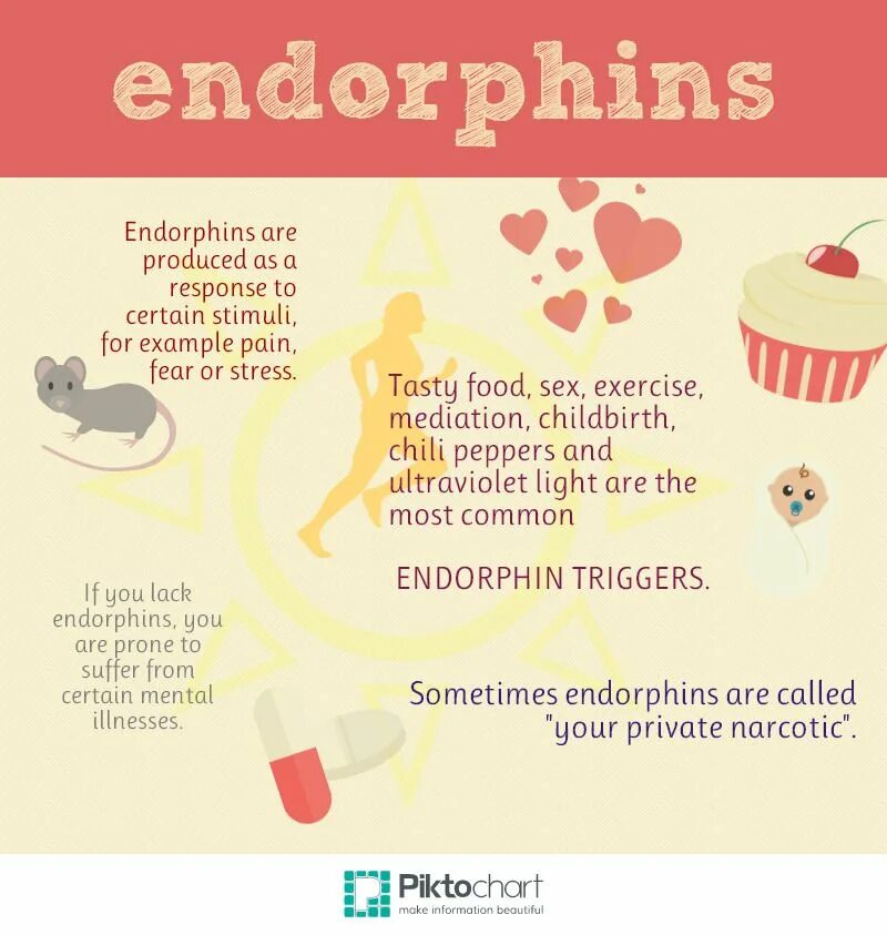 Эндорфины красноярск. Эндорфин. Эндорфин от сладкого. Корж Эндорфин. Эндорфины примеры.