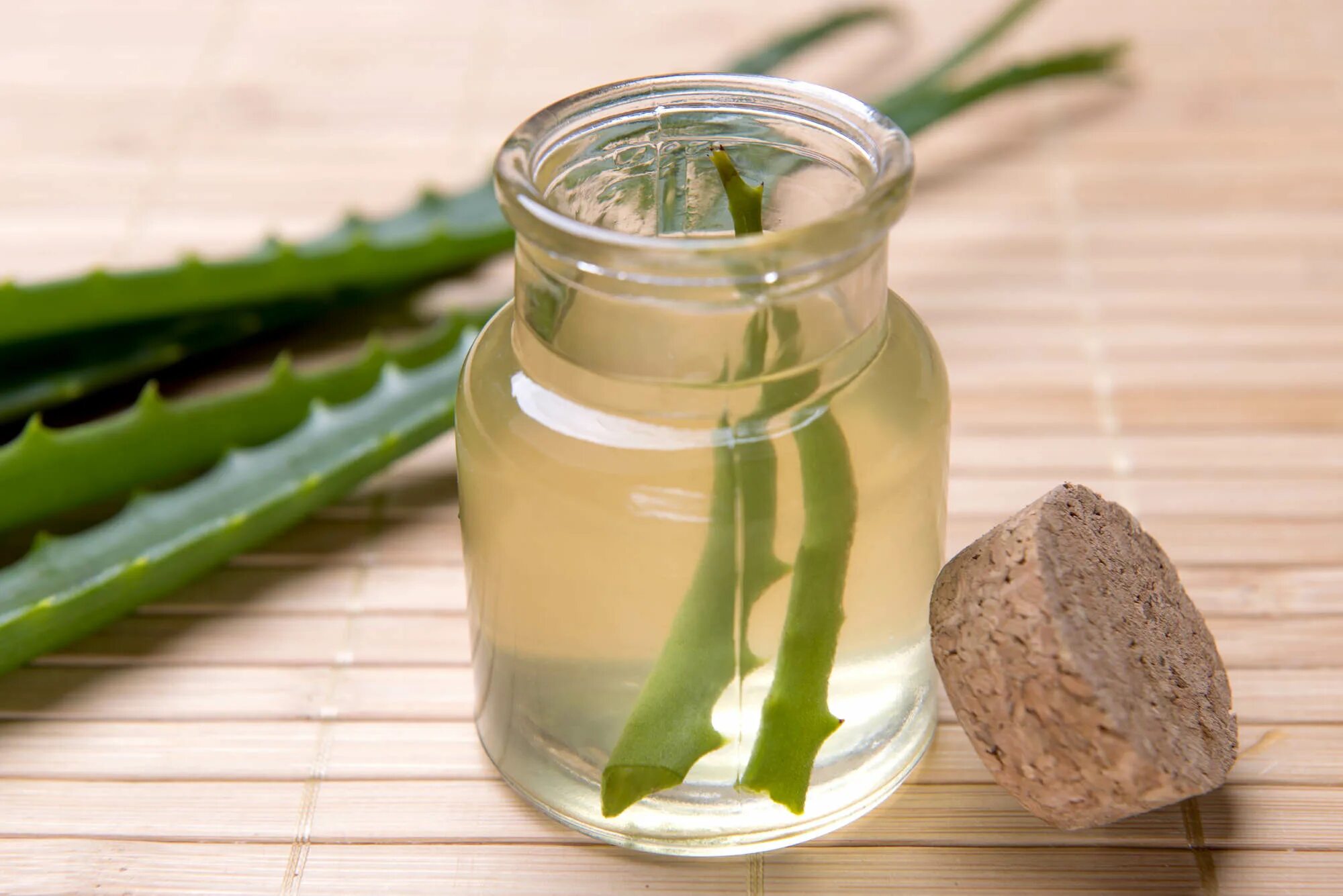 Алоэ при воспалении. Aloe Vera. Настой алоэ. Отвар алоэ.