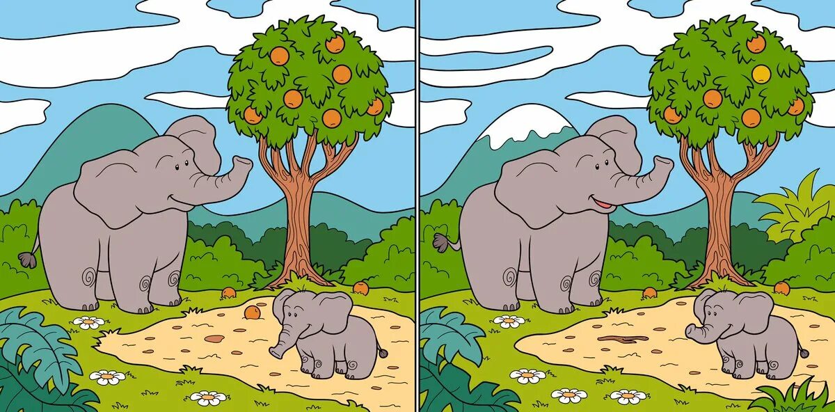 Find the elephant. Найди отличия. Найди отличия животные. Головоломки Найди отличия. Найди отличия на двух картинках.